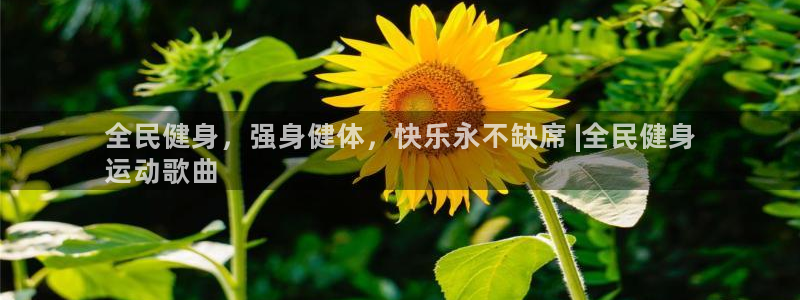 尊龙凯时家居是品牌吗：全民健身，强身健体，快乐永不缺席 