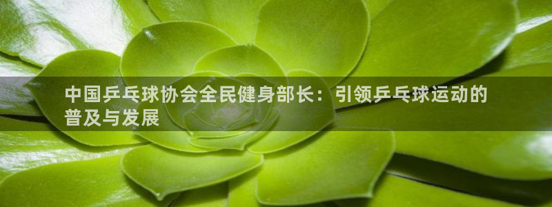尊龙凯时几百万怎么下款：中国乒乓球协会全民健身部长：引领