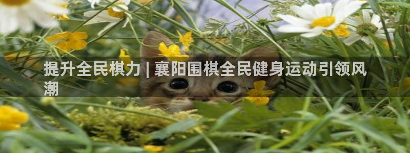 尊龙下载推荐网站：提升全民棋力 | 襄阳围棋全民健身运动