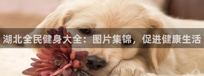 尊龙实业有限公司属于国企吗：湖北全民健身大全：图片集锦，