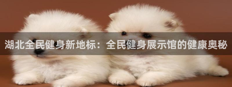 尊龙凯时俱乐部：湖北全民健身新地标：全民健身展示馆的健康