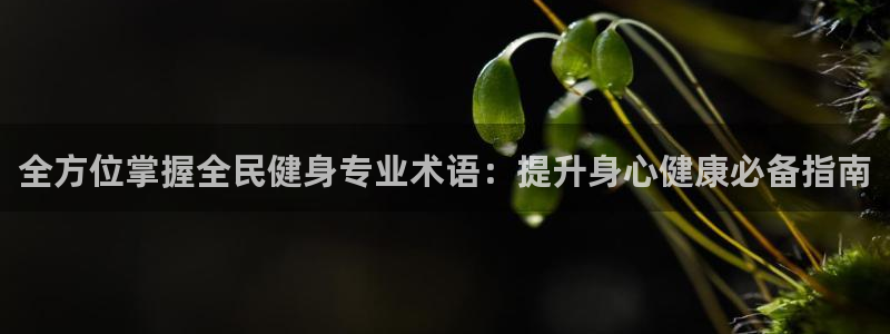 凯时网上官方网站：全方位掌握全民健身专业术语：提升身心健