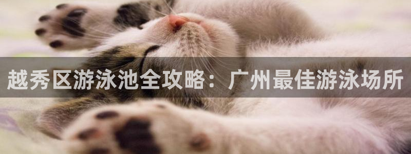 尊龙凯时有限公司：越秀区游泳池全攻略：广州最佳游泳场所