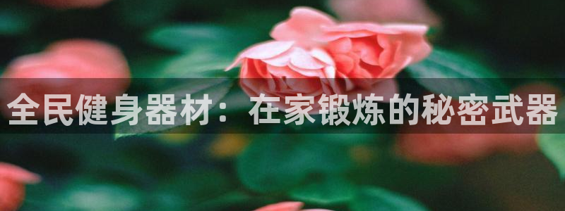 尊龙集团有限公司是国企吗：全民健身器材：在家锻炼的秘密武