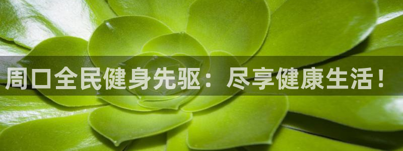 尊龙d88手机版下载：周口全民健身先驱：尽享健康生活！