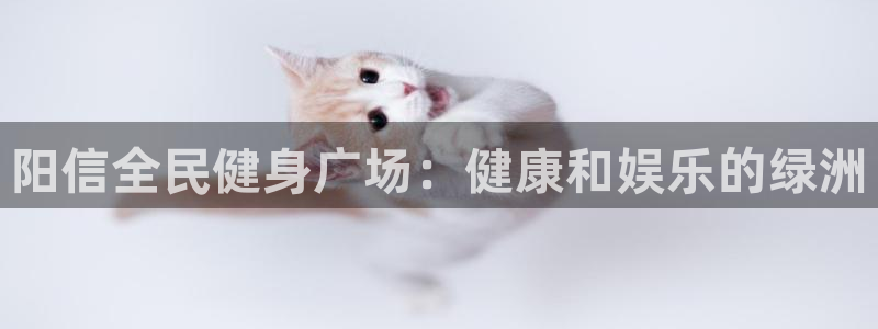 尊龙凯时人生就是博中国官网：阳信全民健身广场：健康和娱乐