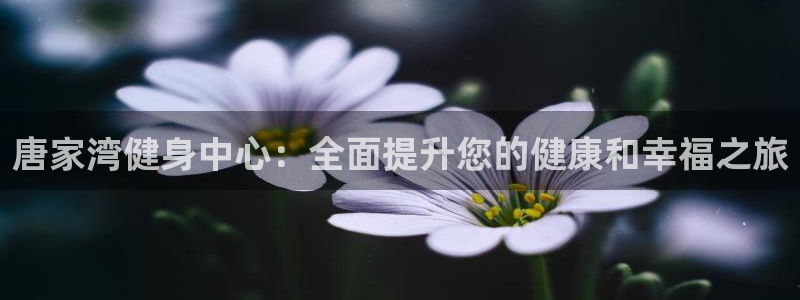 尊龙尊龙：唐家湾健身中心：全面提升您的健康和幸福之旅