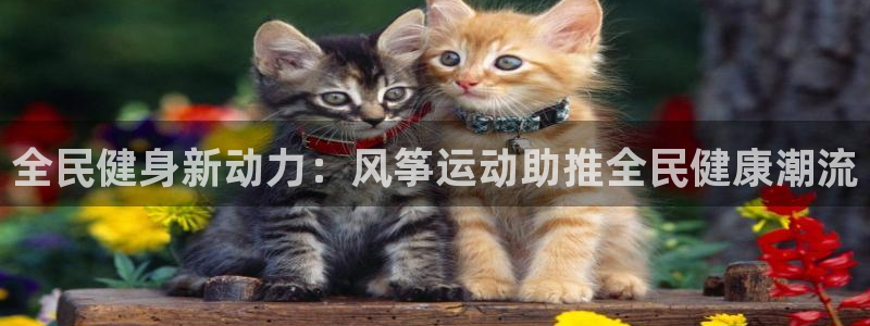 凯时kb88官网网址：全民健身新动力：风筝运动助推全民健