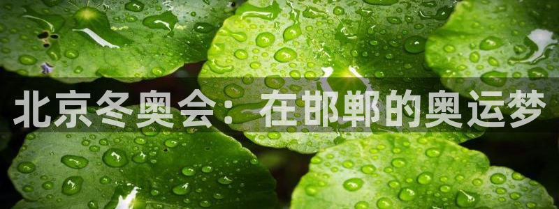 尊龙现金推荐ag发财网