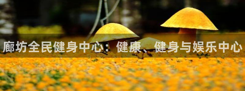 尊龙人生就是傅官网：廊坊全民健身中心：健康、健身与娱乐中