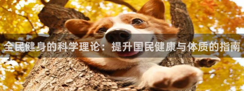 凯时官网：全民健身的科学理论：提升国民健康与体质的指南