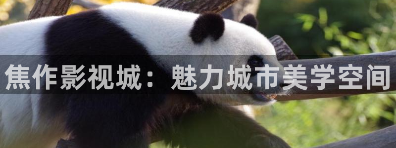 三米影视在线观看