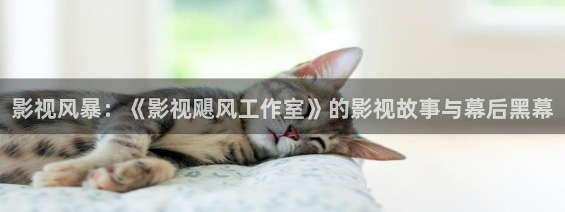 三米影视免费观看全集