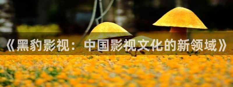 三米影视网