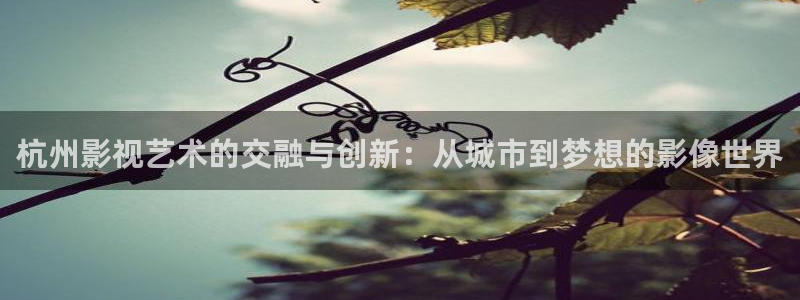 三米影视搜索